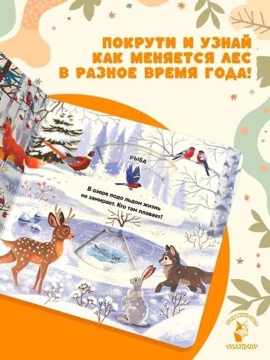 Времена года