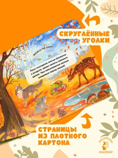 Времена года