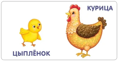 Книжки-картонки. Малыши и мамы