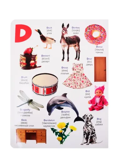 книги на картоне МАКСИ 235х310  7 разворотов. Английский алфавит