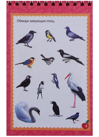 Блокнот занимательных заданий Умная лошадка (5-8 л.) (м) (ФГОС ДО) (пружина)