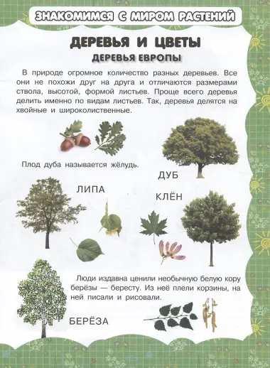 Деревья и цветы