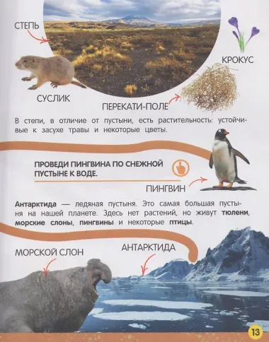 Моя большая книга о природе