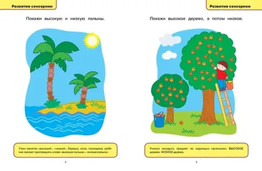Развивающие тесты (1-2 года)