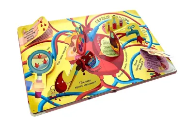 Волшебные окошки. Моё тело