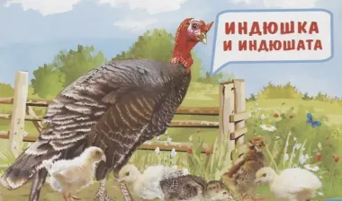 Обучающие карточки 