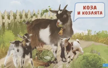 Обучающие карточки 