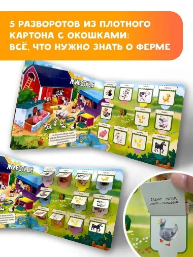 На ферме. 60 удивительных окошек