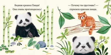 Крошка Панда