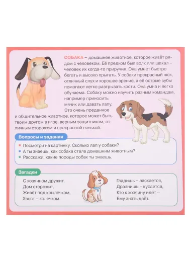 Развивающие карточки для детей. Домашние животные (20 карточек)