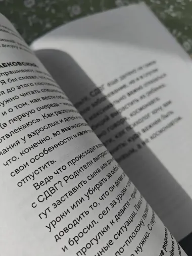 Ребенок-ракета, ребенок-ураган. Руководство по СДВГ для любящих и уставших родителей