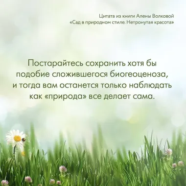 Сад в природном стиле. Нетронутая красота