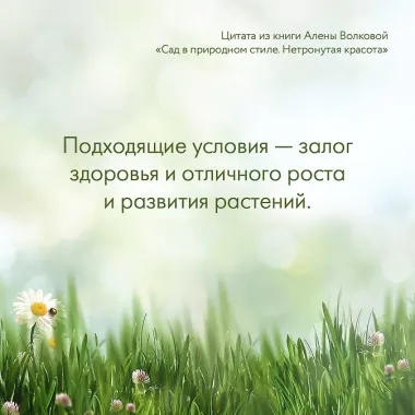 Сад в природном стиле. Нетронутая красота