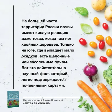 Битва за урожай. Как бороться с сорняками