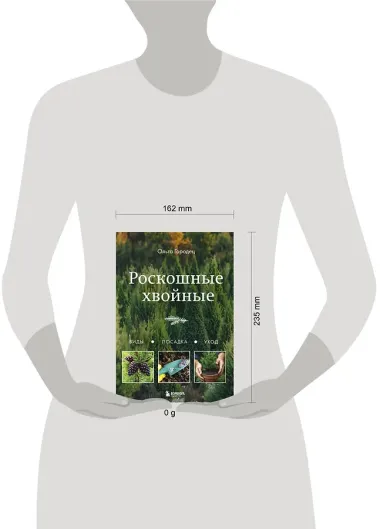 Роскошные хвойные: виды, посадка, уход