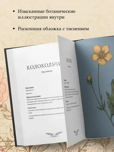 Флориография. Карманное руководство по викторианскому языку цветов