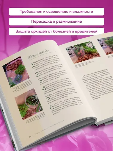 Великолепные орхидеи. Практичное руководство по уходу для начинающих