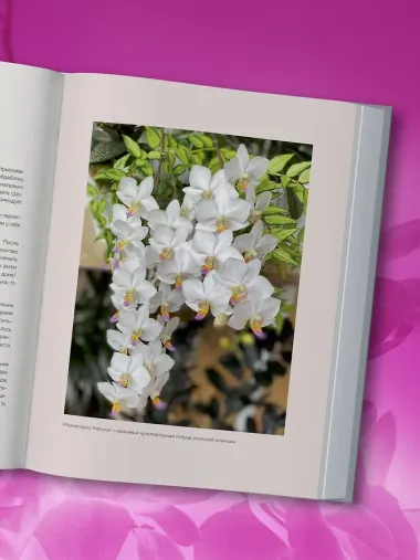 Великолепные орхидеи. Практичное руководство по уходу для начинающих