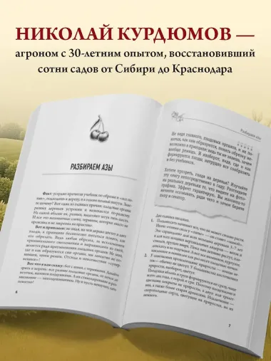 Обрезка и формировка деревьев и кустарников