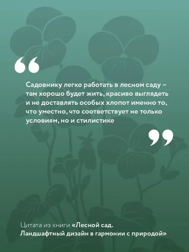 Лесной сад. Ландшафтный дизайн в гармонии с природой