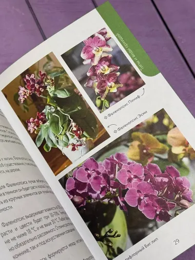 Орхидеи без правил. Шпаргалка-трекер по уходу за самыми красивыми и капризными цветами