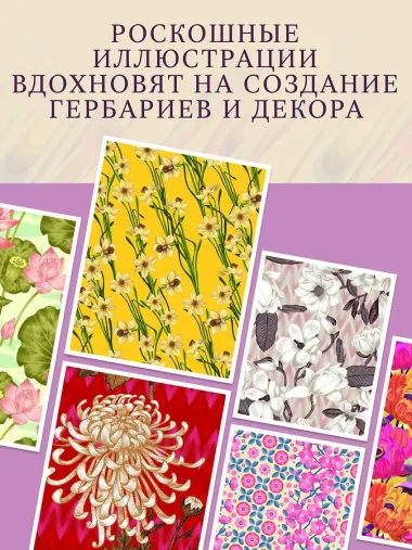 Грамматика цветов. Иллюстрированный путеводитель по цветочной вселенной символов, лечебных свойств и применения растений