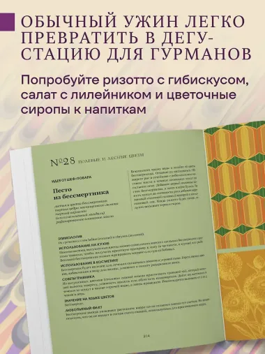 Грамматика цветов. Иллюстрированный путеводитель по цветочной вселенной символов, лечебных свойств и применения растений