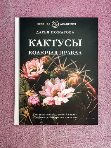 Кактусы. Колючая правда