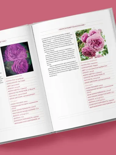 Садовые розы. Полное руководство по выращиванию, уходу и созданию потрясающих букетов