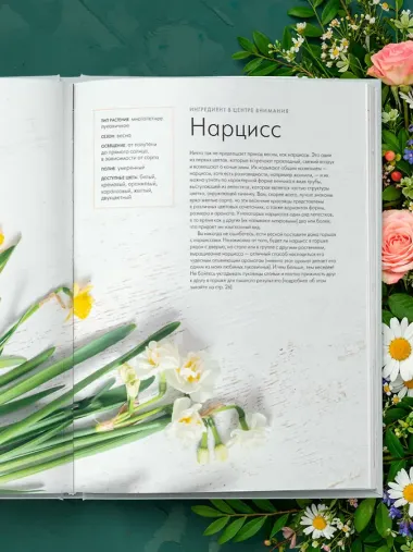 Магия контейнерного сада. Цветочный дизайн террас, веранд, балконов, патио и маленьких садов