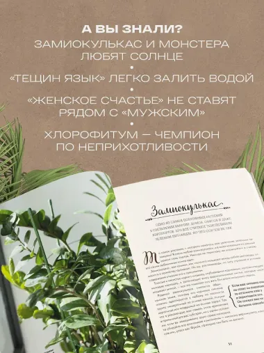 Секреты комнатных джунглей. О чем молчат растения и как понять, что им нужно на самом деле