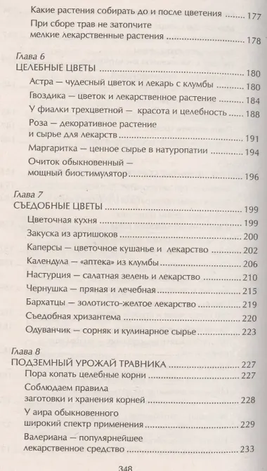 Наши дачные лекари - живые витамины. Овощные и дикорастущие растения