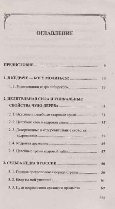 Кедр - царь сибирской тайги