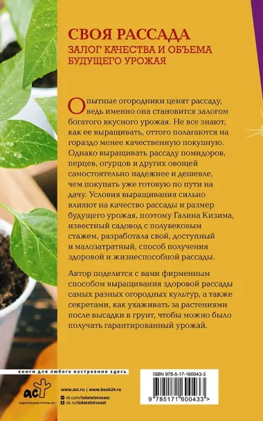 Своя рассада. Залог качества и объема будущего урожая