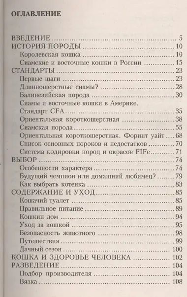 Сиамская кошка. Темперамент и грация