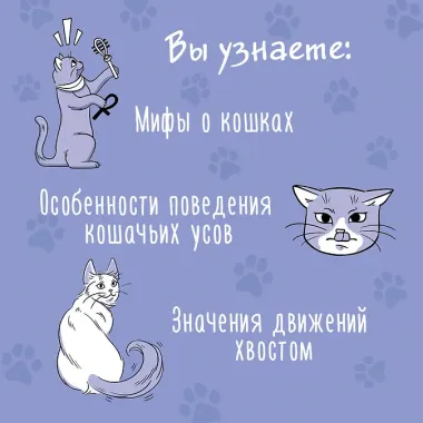 Я тебя понимяу. Как понять язык кошки