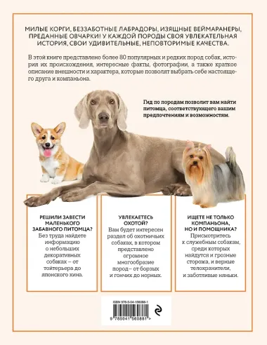 Собаки. Иллюстрированный гид по самым популярным породам