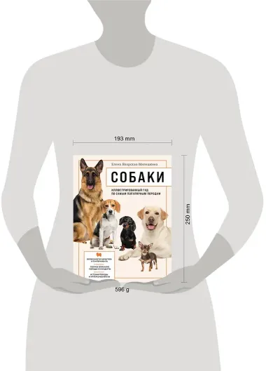 Собаки. Иллюстрированный гид по самым популярным породам