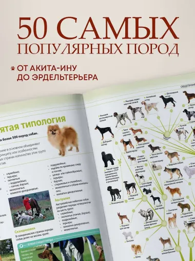 Собаки. Подарочная иллюстрированная энциклопедия (новое оформление)