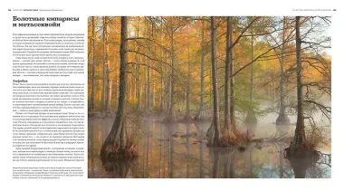 Деревья. Жизнеутверждающее путешествие по лесам, садам и паркам