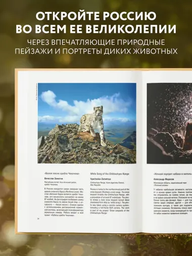 Россия самая красивая страна. Фотоконкурс 2025