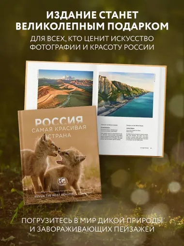 Россия самая красивая страна. Фотоконкурс 2025