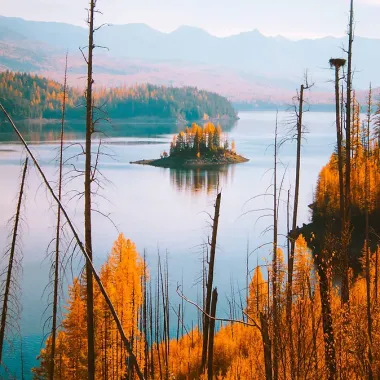 Карелия - жемчужина Русского Севера. История, традиции и природные достопримечательности республики