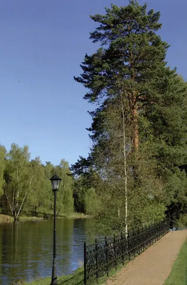 Пушкинское Захарово. Путеводитель