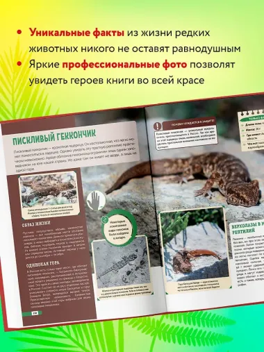 Красная книга России: животные, растения, птицы, насекомые. Энциклопедия редких видов