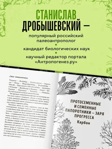 Ботаника антрополога. Как растения создали человека. Елки-палки