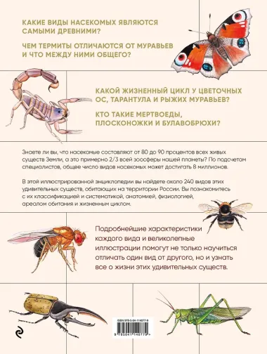 Насекомые. Иллюстрированная энциклопедия начинающего энтомолога