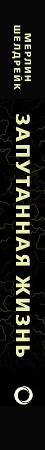 Запутанная жизнь. Как грибы меняют мир, сознание и будущее