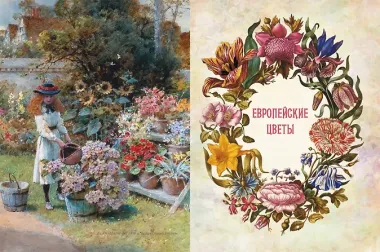 Любимые цветы. Иллюстрированная история