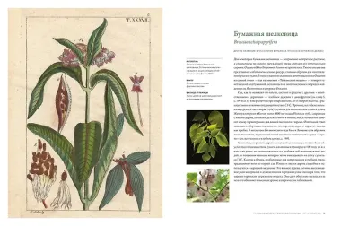 Выдающиеся деревья, которые изменили нашу жизнь